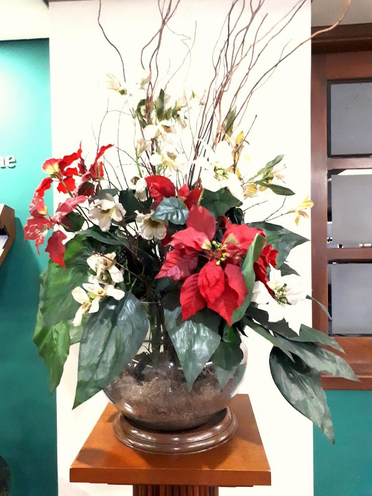 Crillon Palace Hotel Londrina Luaran gambar